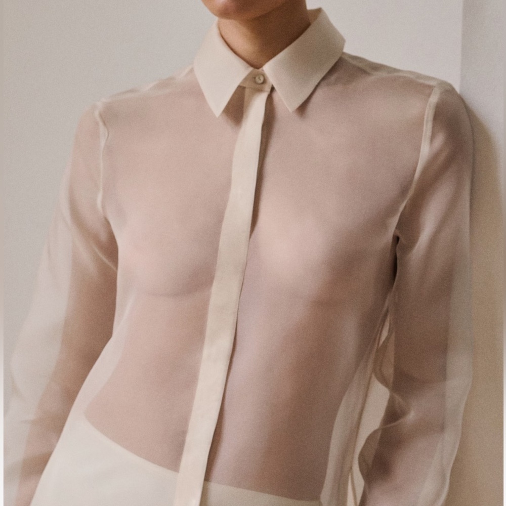 H&M Button Down Sheer Shirt - Picture 6 of 9